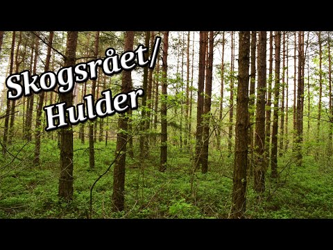 Skogsrået/Hulder and some crime - Nordic folklore