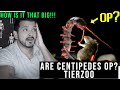 Are Centipedes OP? (TierZoo) CG Reaction