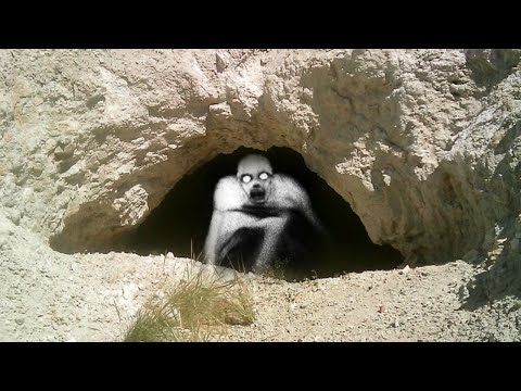 غار الجن في تونس : من أكثر الحكايات المرعبة ! كهف الجن !