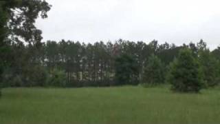 Georgia Mansion Auction 60  Acres