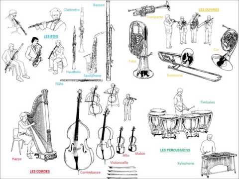 Qui joue? Exercice 8 (L'orchestre symphonique)