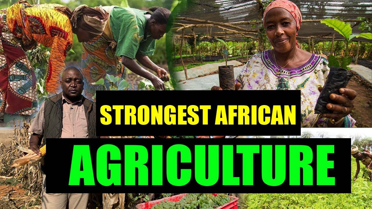 10 COUNTRIES BY STRONGEST AGRIC ECONOMY IN AFRICA 2022