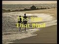 The Ties That Bind