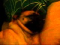 My Pug Sleeping