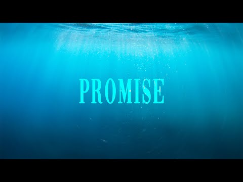 Promise (Official Lyric Video) By Priscilla Montero