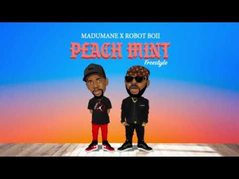 Madumane xRobot Boii peach mint Freestyle