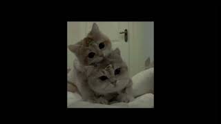 Cover art for At your best (you are love)