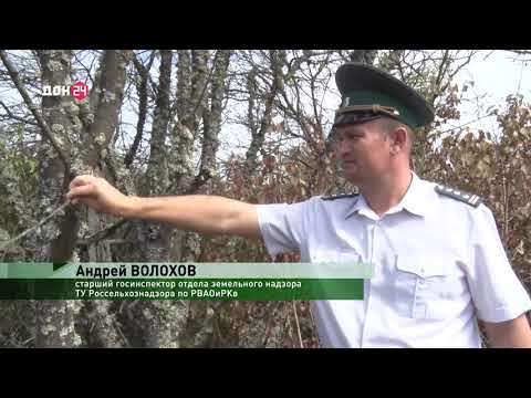 Рубрика Управления Россельхознадзора по Ростовской, Волгоградской и Астраханской областям и Республике Калмыкия: «Россельхознадзор сообщает»