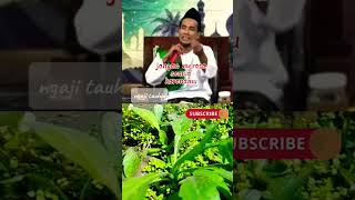 Download lagu live Gus Mukhlason Rosyid #pengajian mp3