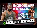 BRACCIA GROSSE? I 6 MIGLIORI esercizi per Bicipiti e Tricipiti