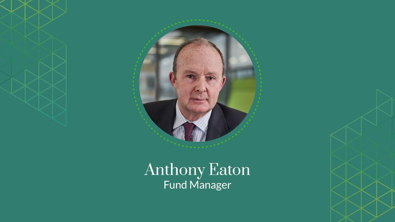 Anthony Eaton, VT Downing Global Investors Fund, talks about this global thematic equity fund.