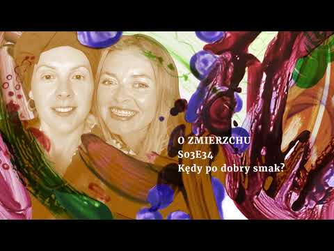 S03E34 Kędy po dobry smak? - O Zmierzchu