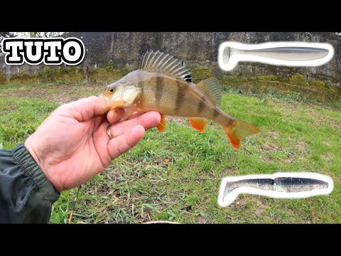 download lagu mp3 mp4 Technique De Peche Pour La Perche, download lagu Technique De Peche Pour La Perche gratis, unduh video klip Technique De Peche Pour La Perche