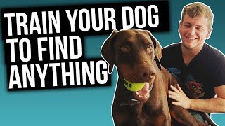 How to Train Scent Detection