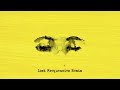 Ed Sheeran Eyes Closed Lost Frequencies Remix