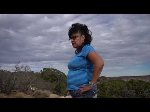 I am a Zuni Artist   Noreen Simplicio