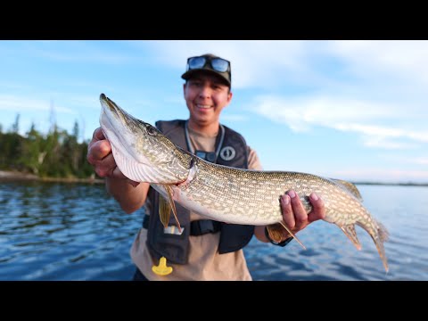 Fishing two different lakes in one day (pike fishing)