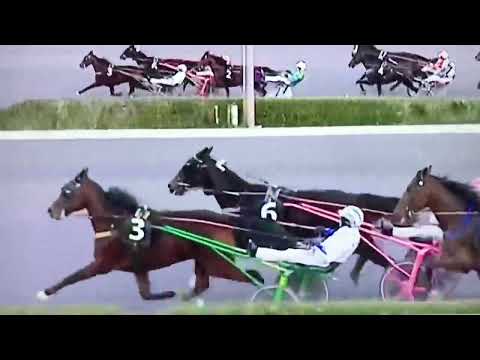 Bora La Torre vince la 7^ corsa Premio Mario con Andrea Farolfi per il team Baroncini