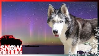 NORTHERN LIGHTS HUNTING