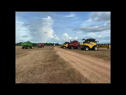 Colheita de soja Corumbiara Rondônia