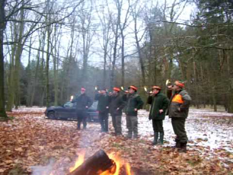 Treibjagd Gräfendorf Jagdhorn blasen 4
