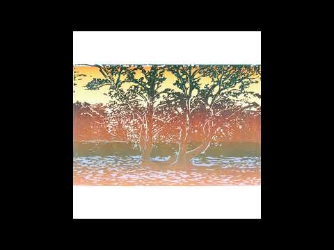 PREMIERE: Michal Wolski - Seeing Through [Accents Records]