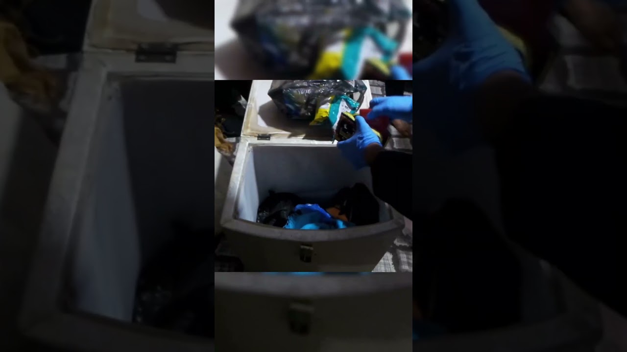 Hatay’da DEAŞ Operasyonu: 4 Şüpheli Tutuklandı