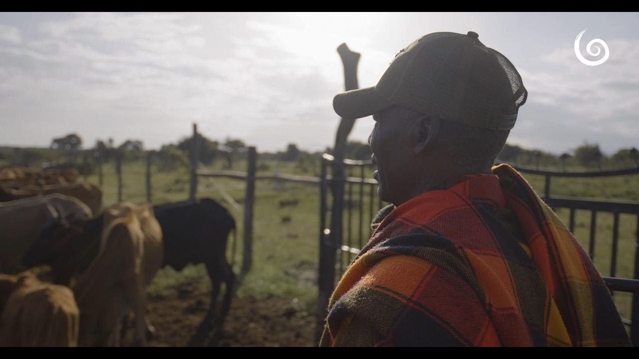 Nyekweri Forest Conservation and Restoration Project