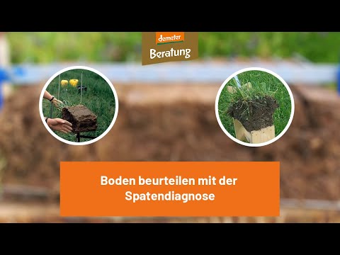 Boden beurteilen mit der Spatendiagnose