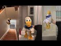 Donald Ducc FUNNIEST TikToks Of 2022 DO NOT LAUGH CHALLENGE
