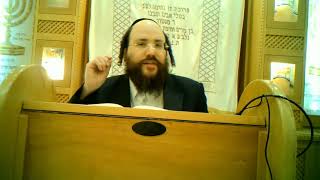 זרע שמשון - פרשת ויגש תשפד ביהכנס גאולת ישראל נס ציונה - הרב יצחק ליכטנשטיין