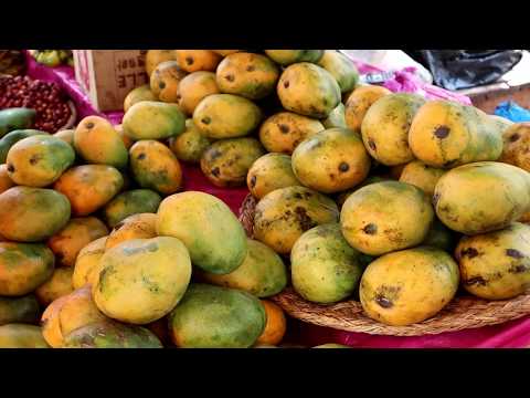 Madagascar MANGOES are delicious - Weird Fruit Explorer Ep. 367