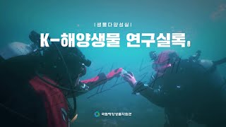 우리나라 바다를 조사하고 탐사하여 해양생물을 발굴하기까지. 이미지