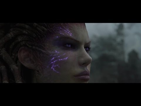 Starcraft 2 WOL + HOTS 