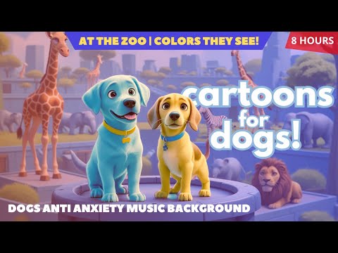 TV para Perros: 8 Horas de Dibujos en Colores Caninos con Música Relajante | Aventura @ Zoológico 🐶🎵