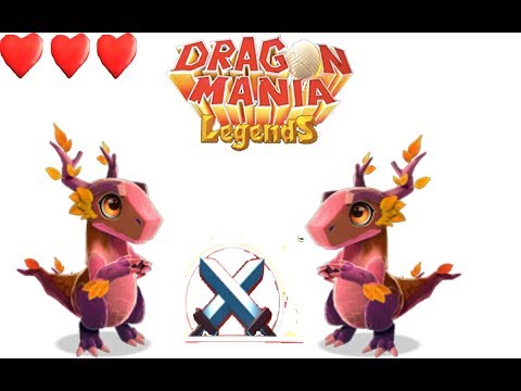 ENCHANT DRAGON BATTIE | AUTUMN VS AUTUMN | Dragon Mania Legends | part 407