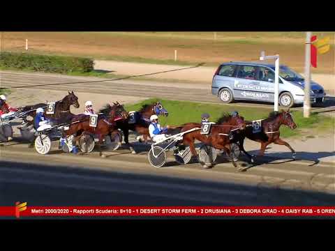 V corsa del 15 febbraio 2023 - 4 Anni - Metri 2000/2020 - II TRIS