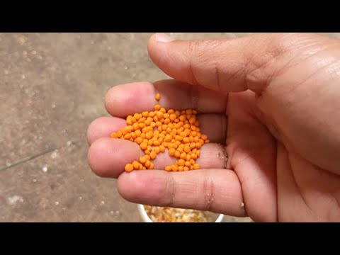 Trinca ferro MV-139 handling mansarrão beginners #ep-02