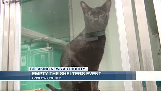 Onslow Empty the Shelter event