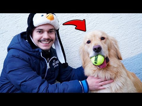 UNSER HUND LUCKY SIEHT FLEXI zum ERSTEN MAL !!!