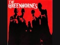 The Greenhornes   No More