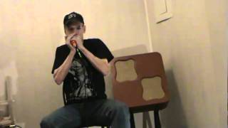 Too Slim Dave plays "Jerry Jumps In"