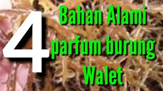 Download lagu 4 Cara Buat Parfum Alami Burung Walet Dengan Mudah mp3