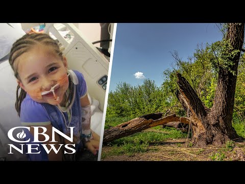 Witness21 Editor  2025 04 18