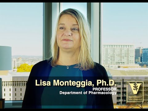 Lisa Monteggia Research Overview – Psychiatric Disorders