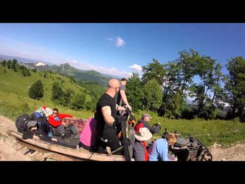 PRISEACA, LUPII MUNTILOR IN PATRULARE.