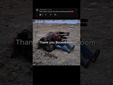 BoomBoom isn't coming home... but we can still appreciate who he was 💔