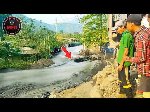 Incredible Moments Caught on Camera  (P135)
