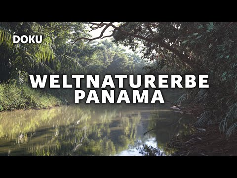 Weltnaturerbe Panama: La Amistad Nationalpark (Naturdoku | Deutsch | ganze Doku)