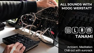 Video thumbnail for TANAMI: Chillout music with MOOG WERKSTATT-01 & CV EXPANDER by Little Ambient Machine